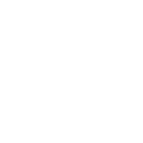 CYFRR Logo